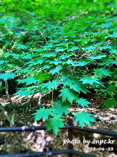 청송 주왕산국립공원