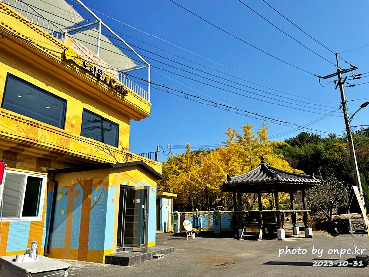 경주 도리마을 은행나무숲 도리뜰카페