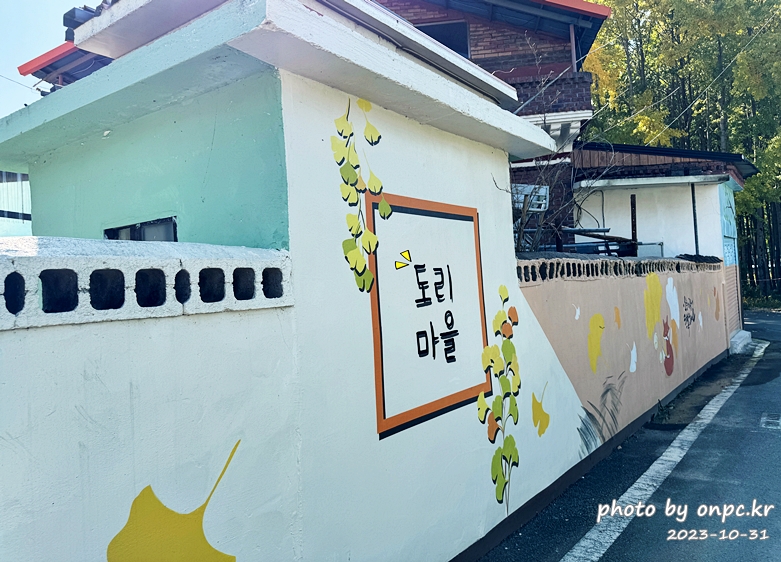 경주 도리마을 은행나무숲 벽화길