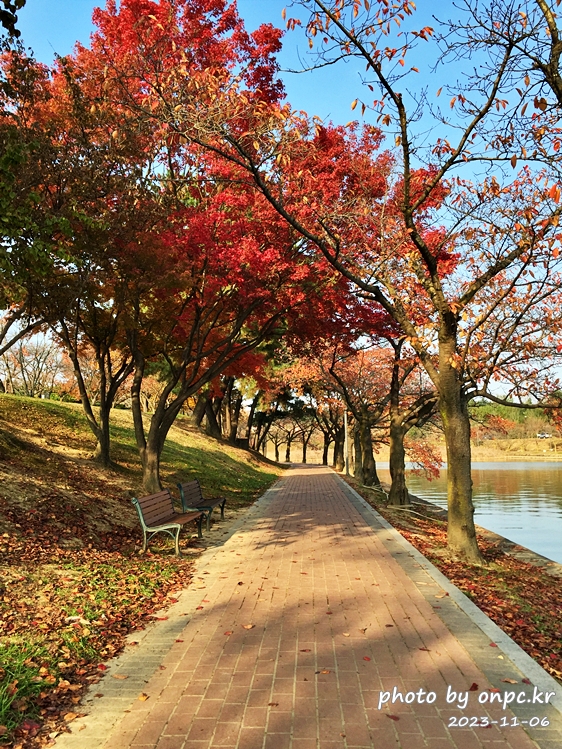 경주 보문호 둘레길 가을풍경