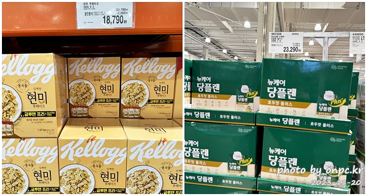코스트코 블랙프라이데이 연말할인상품