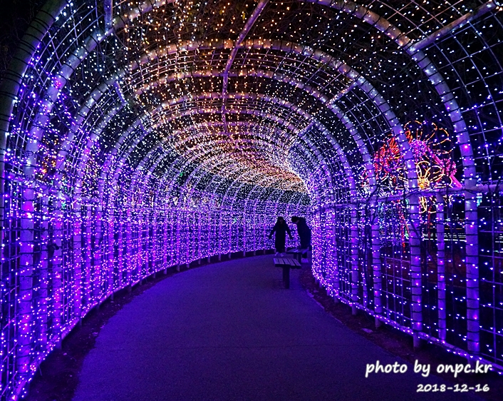 울산대공원 빛축제