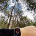 샤오미어메이즈핏 Amazfit GTS Gold