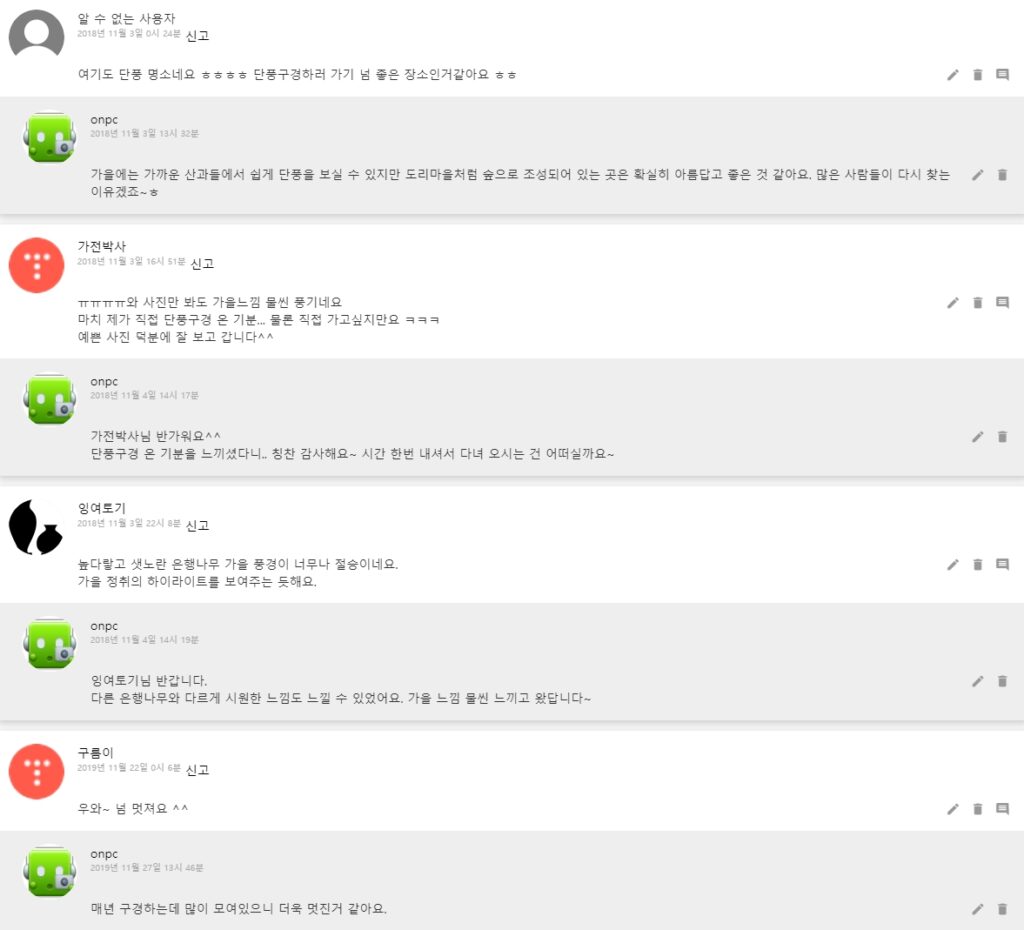 [가을여행]단풍명소 경주 도리마을 은행나무숲