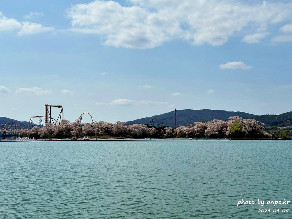 경주 벚꽃 명소 보문호반길