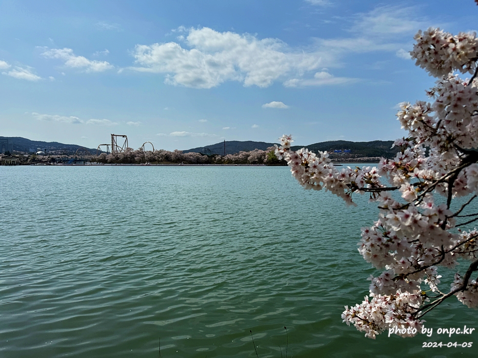 경주 벚꽃 명소 보문호반길