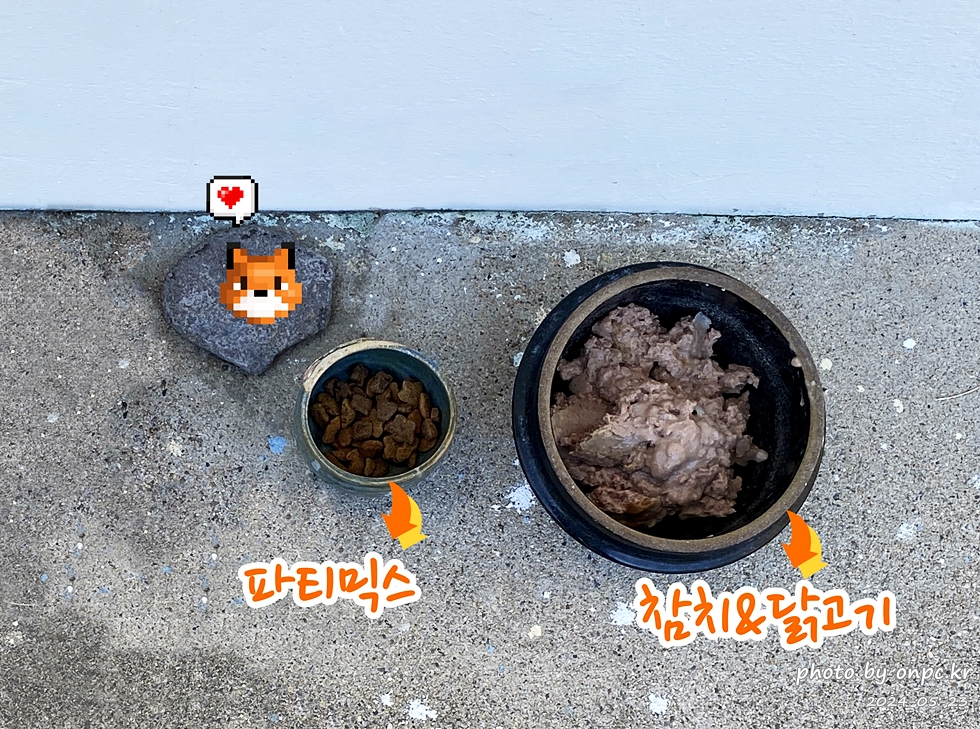 길냥이도 좋아하는 고양이 습식사료! 코스트코에서 구매 했어요~ - 저희 시골집 마당에 가끔씩 들려서 놀고 가는 예쁜 고양이들이 있답니다. 🐱잠시 쉬어 가기도 하고 한참을 누워서 잠을 자고 가기도 하고요~ 💕먼저 물이라도 좀 줘야겠다~ 싶어서 사용 안 하는 뚝배기에 물을 주고 가끔 편의점이나 애완용품점에서 간식도 몇 번 사다 줘보고 했어요.물은 거의 안 먹고 간식만 꼬물거리면서 잘 먹네요~ ㅎ 🐈마침 코스트코에서 할인도 하는 고양이 간식이 있어서 구매해 봤어요~! 코스트코 고양이간식 퓨리나 파티믹스와 뉴트리플랜 습식사료