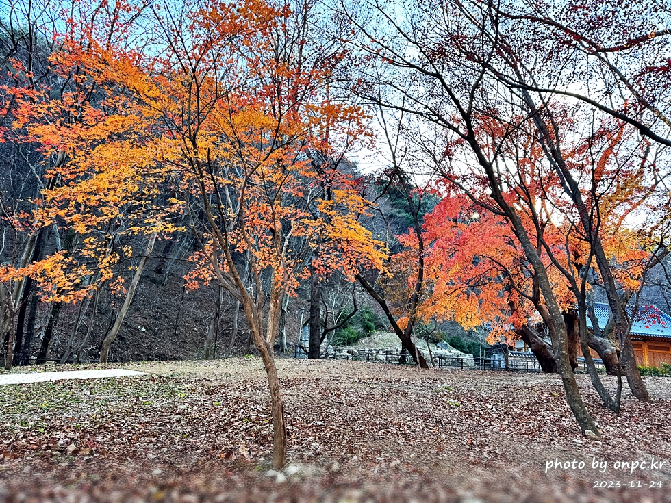 공주 계룡산1박2일여행 단풍