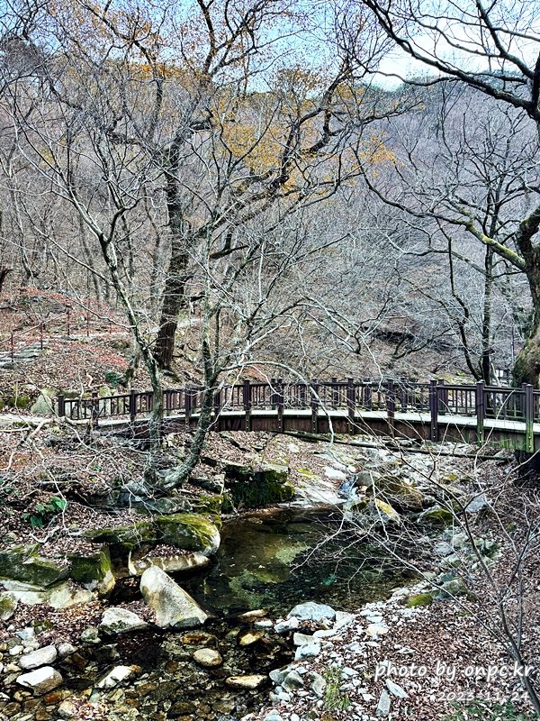 공주 계룡산 1박 2일 여행~ 등산, 맛집, 숙박까지 완벽 정리!