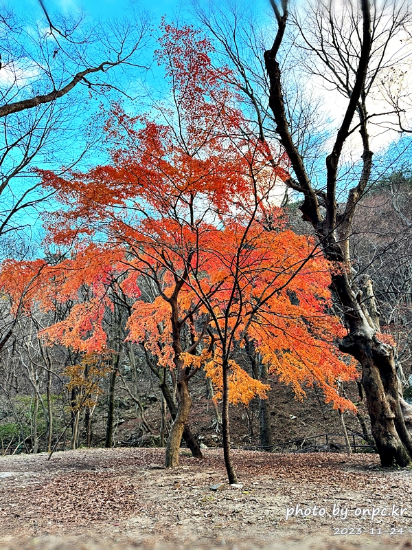 공주 계룡산1박2일여행 단풍