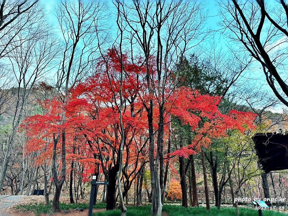 공주 계룡산1박2일여행 단풍