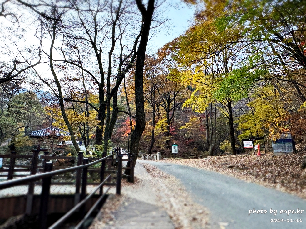 공주 계룡산1박2일여행 동학사