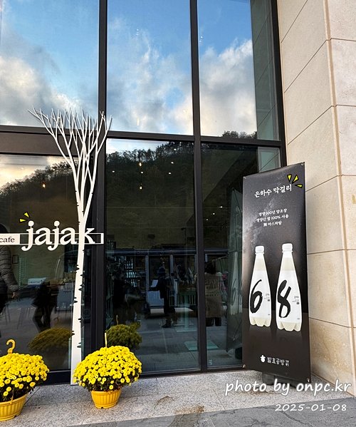 영양 자작나무숲 자작카페 은하수막걸리