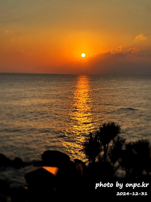 2025 간절곶 일출, 조금은 특별했던 새해 아침 - 새해 첫날, 간절곶! 🌅한반도의 빛을 가장 먼저 맞이하는 곳! 새해 첫날 일출을 보면서 새해 다짐과 소원을 빌기도 합니다.새해 일출 명소에서 소중한 사람들과 함께 잊지 못할 추억을 만들기 위해 간절곶을 찾았습니다.하지만예상치 못한 제주항공 여객기 사고로 인해 국가 애도 기간이 선포되고 화려한 해맞이 행사는 취소되었죠.고인들의 명복을 빌며, 조용히 새해를 맞이하고자 했습니다. 2025새해일출 간절곶 해맞이 방문후기