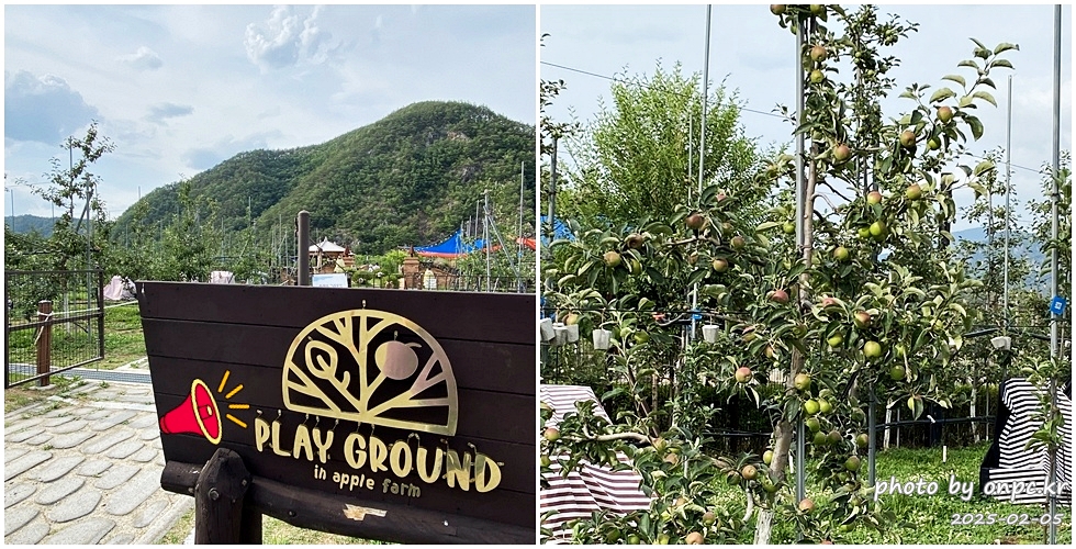 청송 여행 필수 코스! 소노벨 청송 1박 2일, 송어회와 함께 즐기는 완벽한 휴식 여행! - 푸르른 자연과 맑은 공기가 반기는 청송에서 잊지 못할 1박 2일 여행을 다녀왔습니다. 🚗🌿숙소는 물론, 맛집, 부대시설까지 완벽했던 청송 소노벨 여행 후기 들려드릴께요~! 소노벨청송 애플팜