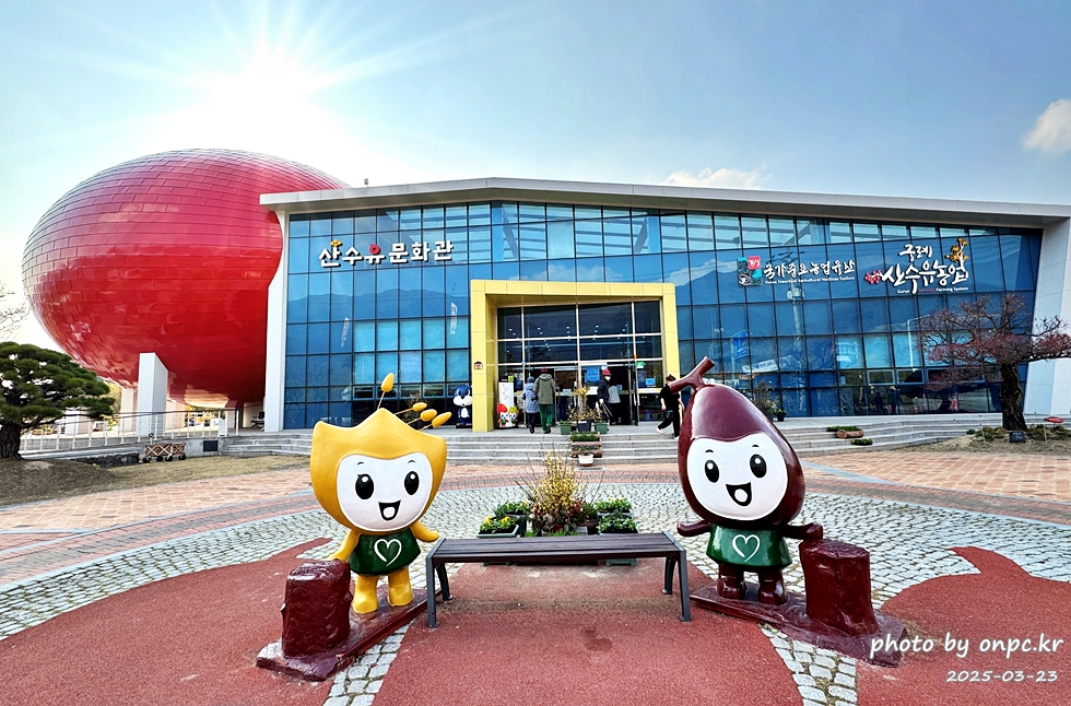 [전남 구례 산수유꽃축제] 꽃길 걷고 맛집까지! 축제장, 숙소, 스탬프투어 정리! 알차게 다녀온 여행후기🌼