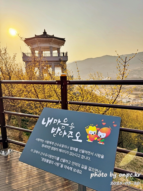 [전남 구례 산수유꽃축제] 꽃길 걷고 맛집까지! 축제장, 숙소, 스탬프투어 정리! 알차게 다녀온 여행후기🌼