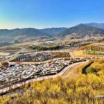 구례 산수유꽃축제
