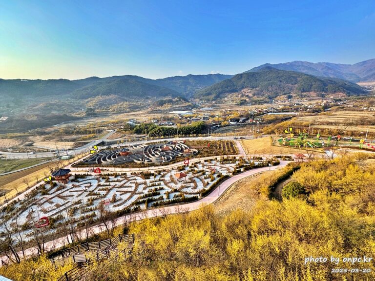 구례 산수유꽃축제