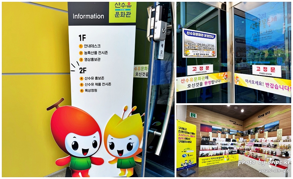 [전남 구례 산수유꽃축제] 꽃길 걷고 맛집까지! 축제장, 숙소, 스탬프투어 정리! 알차게 다녀온 여행후기🌼