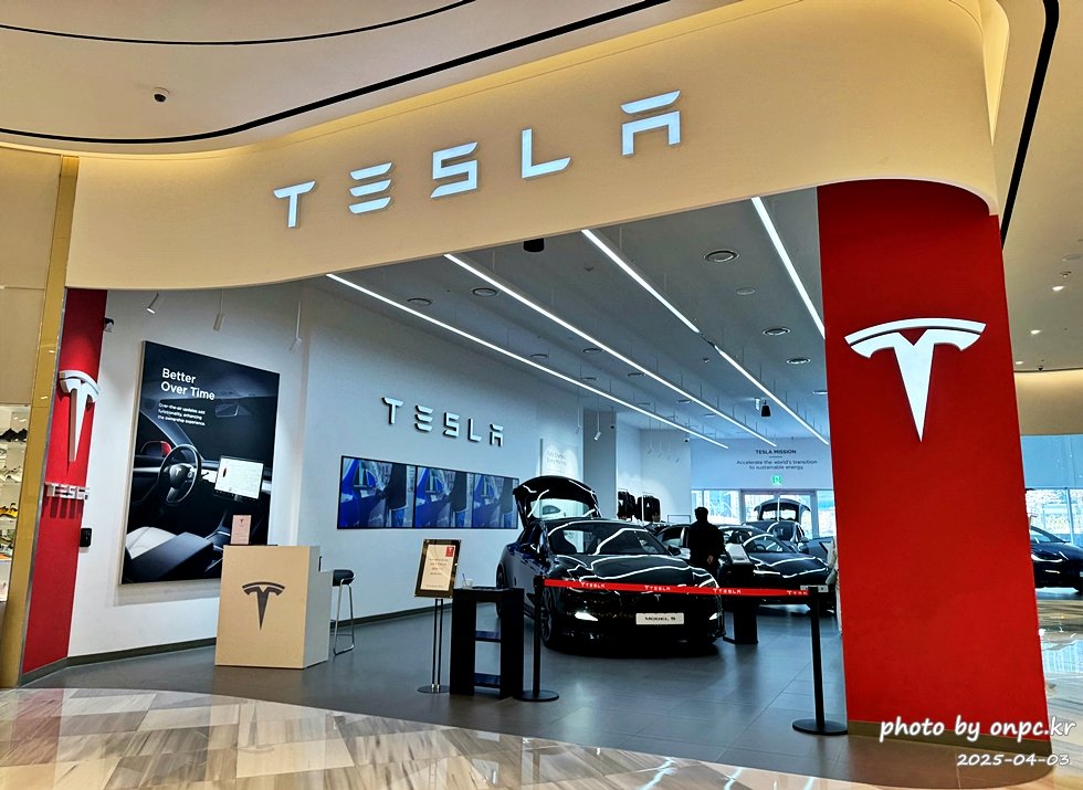 Tesla 테슬라 부산스토어