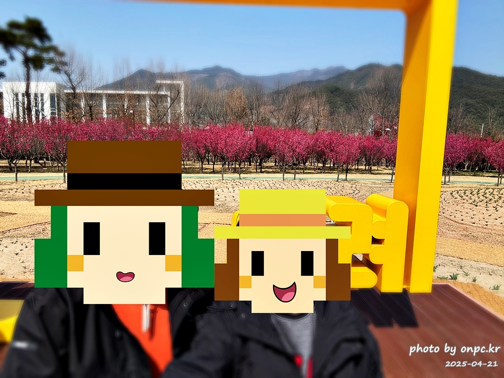 구례 섬진강수달생태공원 홍매화산책로