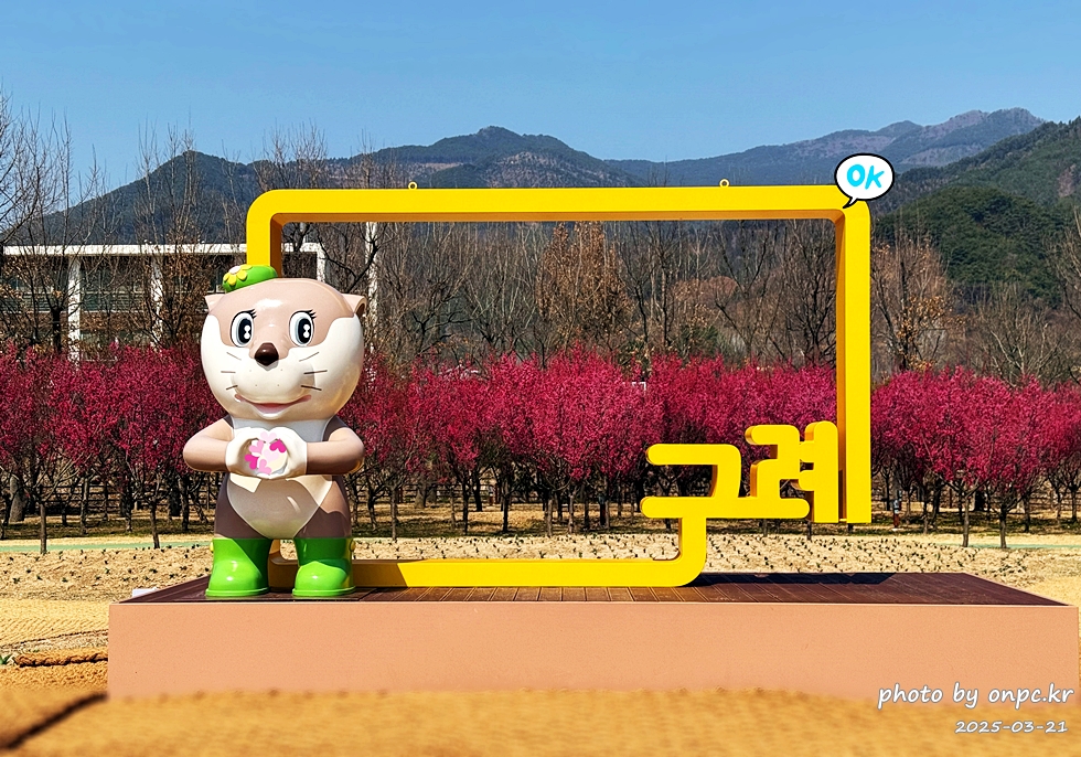 구례 섬진강수달생태공원 홍매화산책로