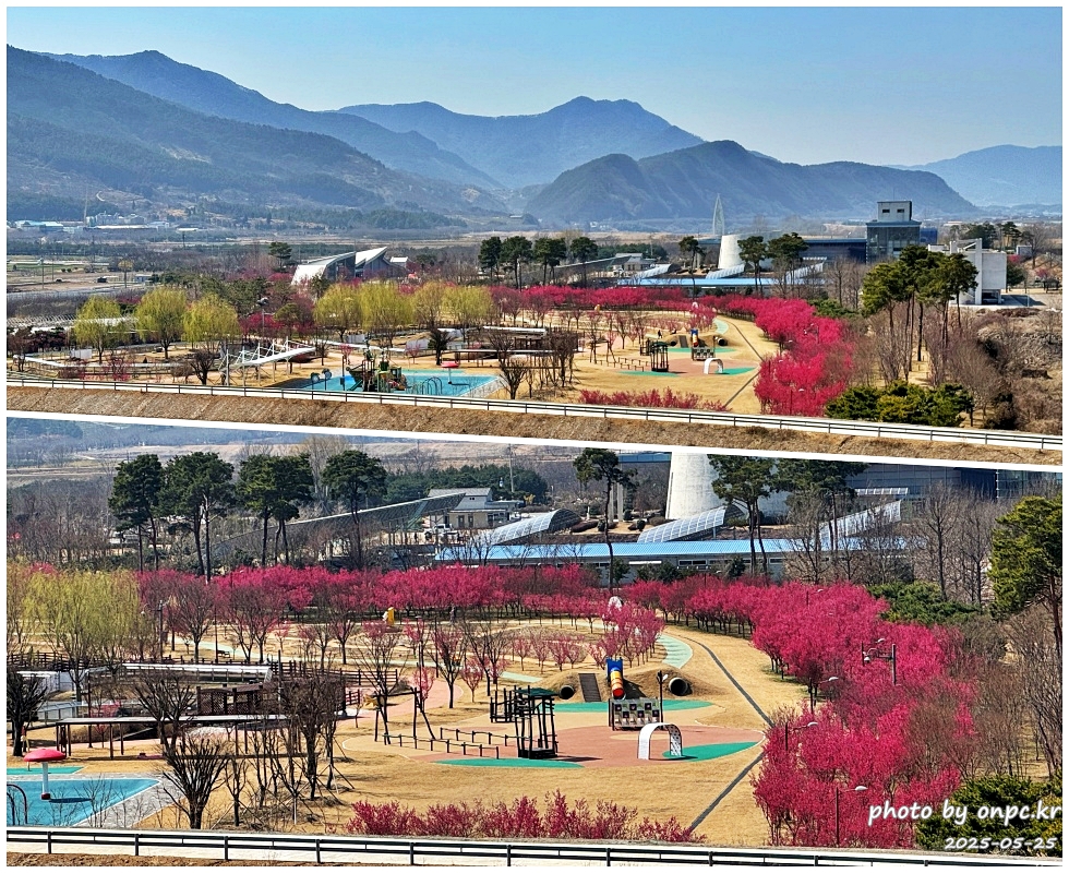 구례 섬진강수달생태공원 홍매화길