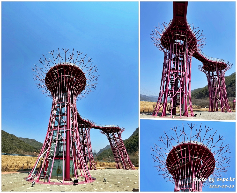 구례 섬진강수달생태공원 트리타워전망대