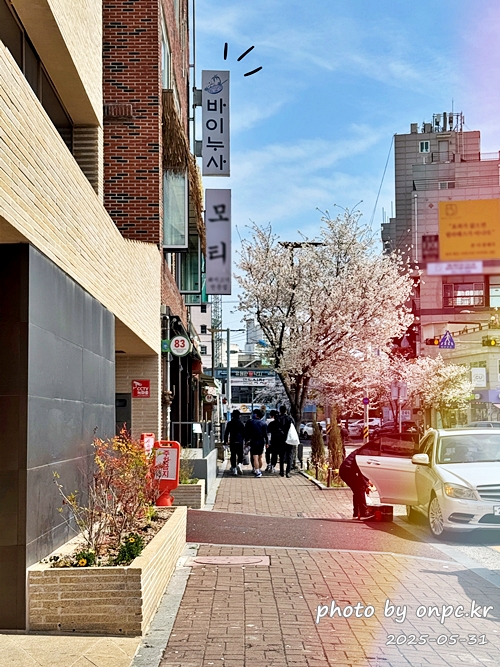 태화강국가정원이 한눈에! 뷰맛집 태국음식 전문점, 바이누사
