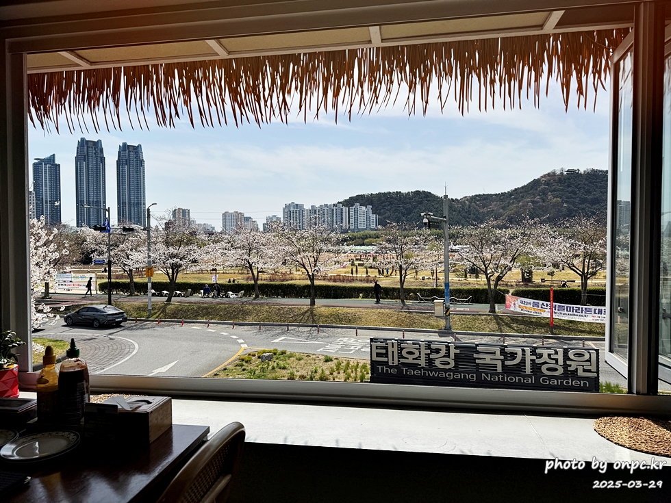 태화강국가정원이 한눈에! 뷰맛집 태국음식 전문점, 바이누사