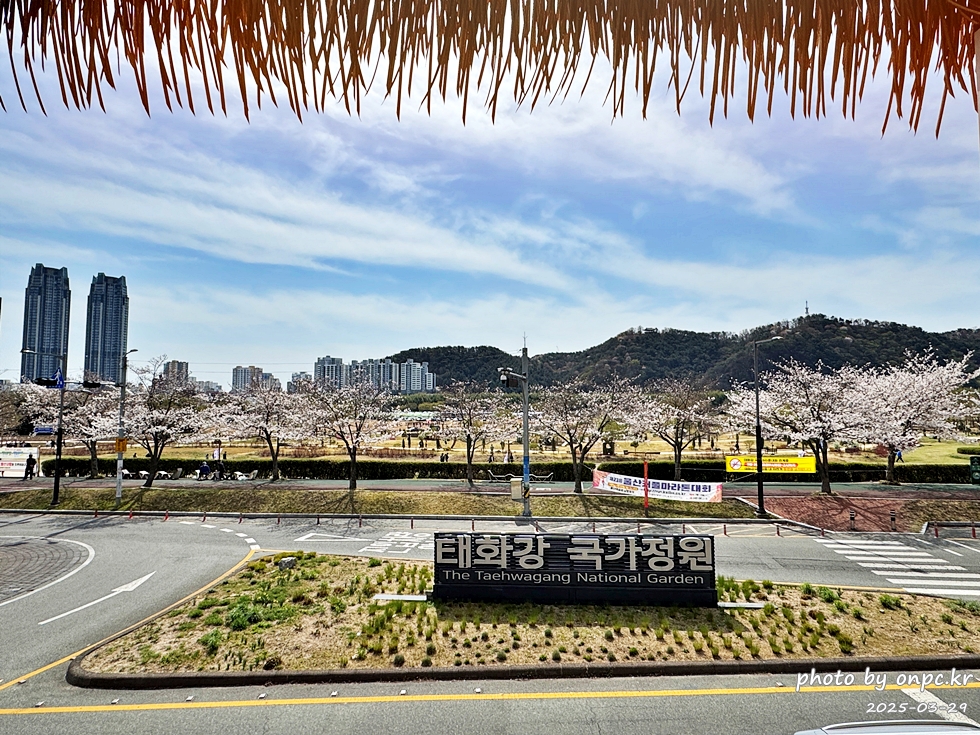 태화강국가정원이 한눈에! 뷰맛집 태국음식 전문점, 바이누사