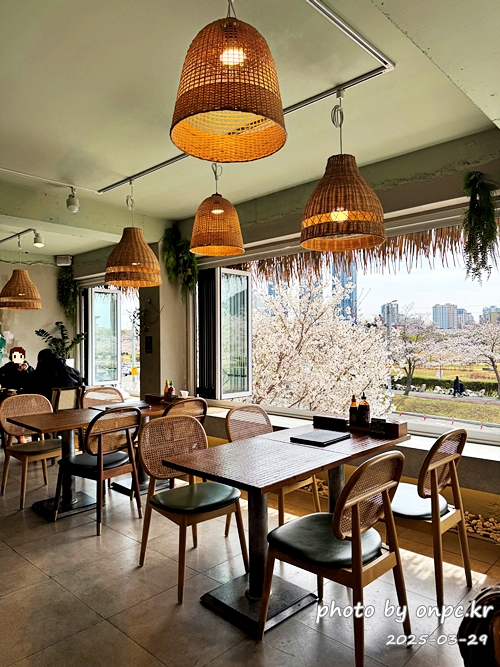 태화강국가정원이 한눈에! 뷰맛집 태국음식 전문점, 바이누사 - 따사로운 봄날, 벚꽃이 만개했던 어느 날, 친구들과의 모임 장소로 태화강국가정원이 한눈에 내려다보이는 뷰 맛집, 바이누사를 찾았어요.'작은 맛의 섬'이라는 이름처럼 소박하지만 정성 가득한 동남아시아 음식과 아름다운 풍경이 어우러진 곳이었답니다. 태화강국가정원이 한눈에! 뷰맛집 태국음식 전문점, 바이누사