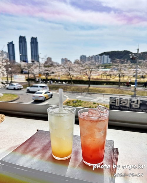 태화강국가정원이 한눈에! 뷰맛집 태국음식 전문점, 바이누사 - 따사로운 봄날, 벚꽃이 만개했던 어느 날, 친구들과의 모임 장소로 태화강국가정원이 한눈에 내려다보이는 뷰 맛집, 바이누사를 찾았어요.'작은 맛의 섬'이라는 이름처럼 소박하지만 정성 가득한 동남아시아 음식과 아름다운 풍경이 어우러진 곳이었답니다. 태화강국가정원이 한눈에! 뷰맛집 태국음식 전문점, 바이누사