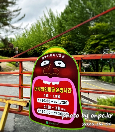 무주 머루와인동굴, 한여름에도 시원한 와인 테마 여행! 🍷🍇 - 안녕하세요!오늘은 무주 여행의 필수 코스이자 한여름 더위도 잊게 해주는 무주 머루와인동굴 방문 후기를 들려드릴게요.적상산 안에 숨어있는 이 특별한 와인 양조장은 볼거리, 즐길 거리가 가득하답니다! 무주 머루와인동굴, 한여름에도 시원한 와인 테마 여행! 🍷🍇
