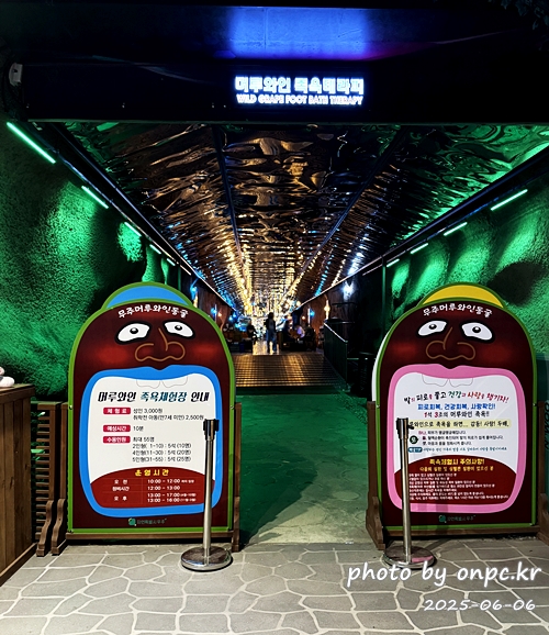 무주 머루와인동굴, 한여름에도 시원한 와인 테마 여행! 🍷🍇 - 안녕하세요!오늘은 무주 여행의 필수 코스이자 한여름 더위도 잊게 해주는 무주 머루와인동굴 방문 후기를 들려드릴게요.적상산 안에 숨어있는 이 특별한 와인 양조장은 볼거리, 즐길 거리가 가득하답니다! 무주 머루와인동굴, 한여름에도 시원한 와인 테마 여행! 🍷🍇