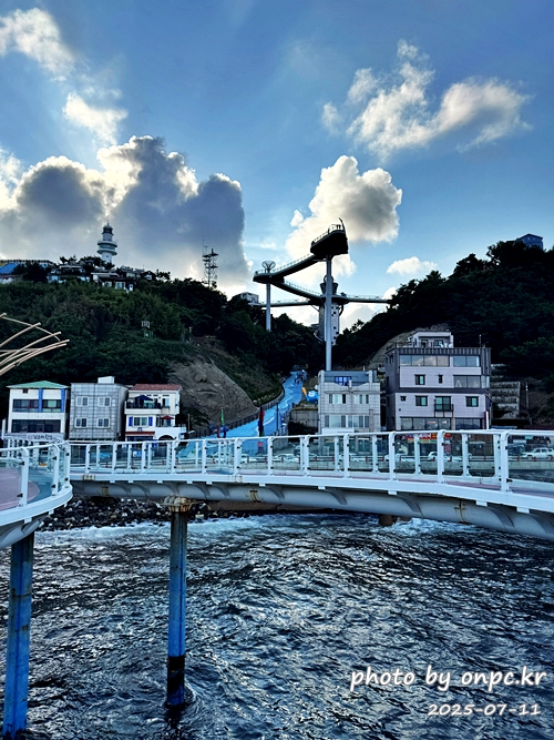 동해 도째비골 스카이밸리와 해랑 전망대! 아찔함과 재미가 가득한 환상의 스카이워크! 👹✨