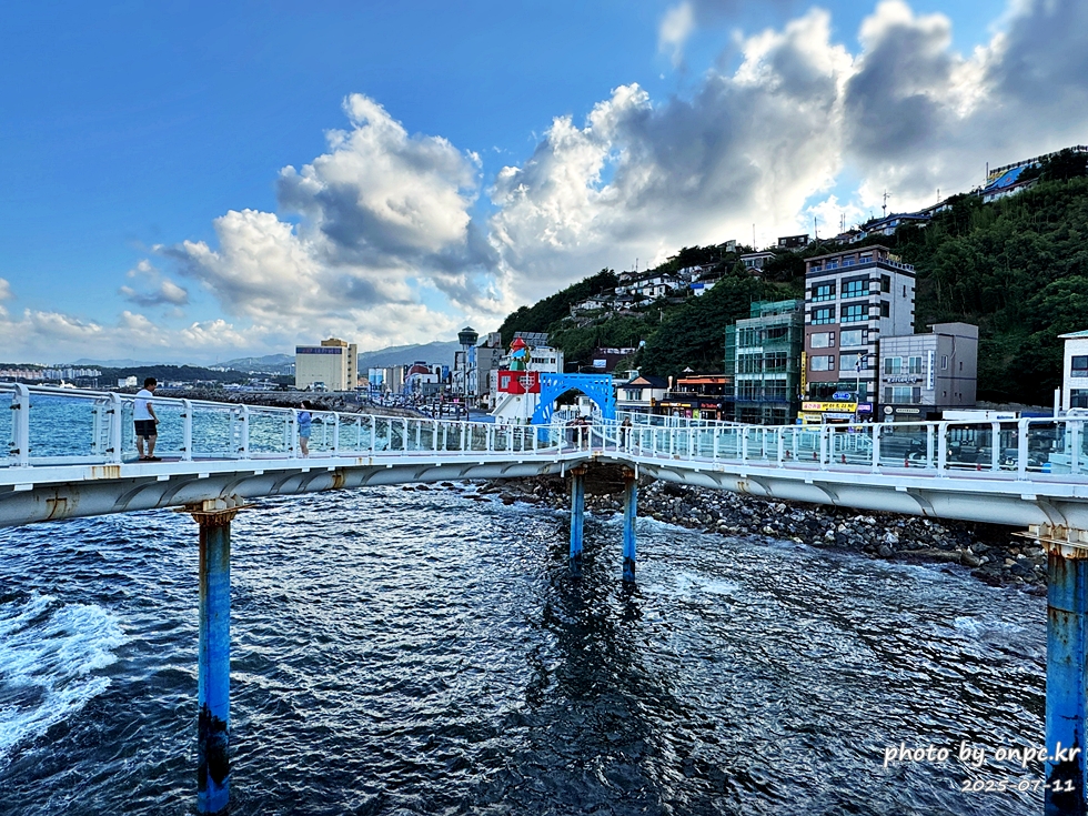 동해 도째비골 스카이밸리와 해랑 전망대! 아찔함과 재미가 가득한 환상의 스카이워크! 👹✨