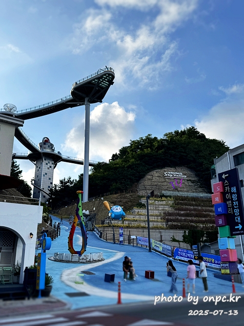 동해 도째비골 스카이밸리와 해랑 전망대! 아찔함과 재미가 가득한 환상의 스카이워크! 👹✨