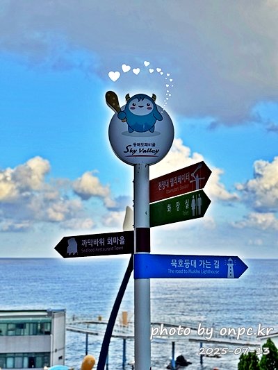 동해 도째비골 스카이밸리와 해랑 전망대! 아찔함과 재미가 가득한 환상의 스카이워크! 👹✨