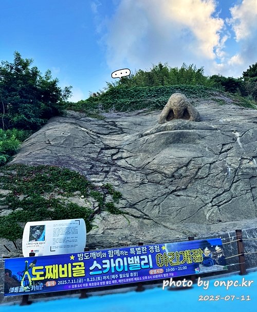 동해 도째비골 스카이밸리와 해랑 전망대! 아찔함과 재미가 가득한 환상의 스카이워크! 👹✨