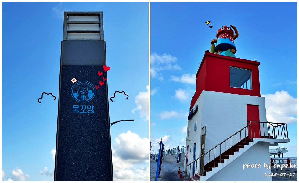 동해 도째비골 스카이밸리와 해랑 전망대! 아찔함과 재미가 가득한 환상의 스카이워크! 👹✨