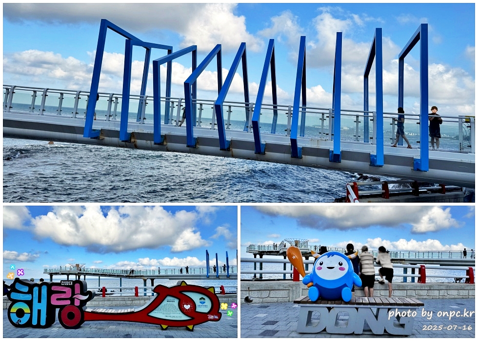 동해 도째비골 스카이밸리와 해랑 전망대! 아찔함과 재미가 가득한 환상의 스카이워크! 👹✨