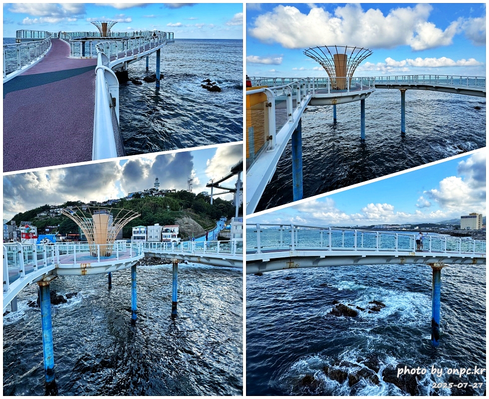 동해 도째비골 스카이밸리와 해랑 전망대! 아찔함과 재미가 가득한 환상의 스카이워크! 👹✨