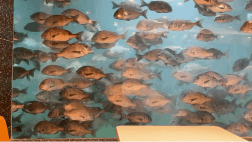 감포항 수족관 카페 투썸플레이스에서 힐링! 🌊🐠 경주에도 바다가? - 경주라고 하면 보통 불국사, 첨성대 같은 문화재가 먼저 떠오르죠. 그런데 의외로 경주에도 시원한 바다가 있다는 사실! 🌊햇살이 따스하게 내리쬐던 어느 여름날,저는 바다와 함께 시간을 보낼 수 있는 특별한 카페를 찾아 나섰습니다.경주시 감포항 바닷가에 자리한 바다를 곁에 둔 투썸플레이스 감포점, 그곳에서 예상치 못한 힐링을 경험했어요. 경주감포항 수족관카페.GIF