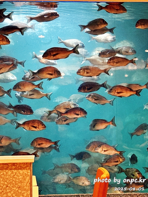 감포항 수족관 카페 투썸플레이스에서 힐링! 🌊🐠 경주에도 바다가? - 경주라고 하면 보통 불국사, 첨성대 같은 문화재가 먼저 떠오르죠. 그런데 의외로 경주에도 시원한 바다가 있다는 사실! 🌊햇살이 따스하게 내리쬐던 어느 여름날,저는 바다와 함께 시간을 보낼 수 있는 특별한 카페를 찾아 나섰습니다.경주시 감포항 바닷가에 자리한 바다를 곁에 둔 투썸플레이스 감포점, 그곳에서 예상치 못한 힐링을 경험했어요. 감포항 수족관 카페 투썸플레이스에서 힐링! 🌊🐠 경주에도 바다가?