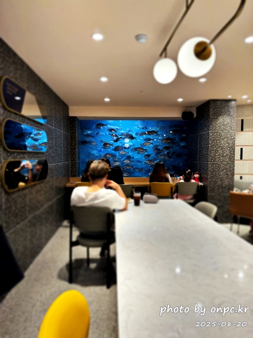 감포항 수족관 카페 투썸플레이스에서 힐링! 🌊🐠 경주에도 바다가? - 경주라고 하면 보통 불국사, 첨성대 같은 문화재가 먼저 떠오르죠. 그런데 의외로 경주에도 시원한 바다가 있다는 사실! 🌊햇살이 따스하게 내리쬐던 어느 여름날,저는 바다와 함께 시간을 보낼 수 있는 특별한 카페를 찾아 나섰습니다.경주시 감포항 바닷가에 자리한 바다를 곁에 둔 투썸플레이스 감포점, 그곳에서 예상치 못한 힐링을 경험했어요. 감포항 수족관 카페 투썸플레이스에서 힐링! 🌊🐠 경주에도 바다가?
