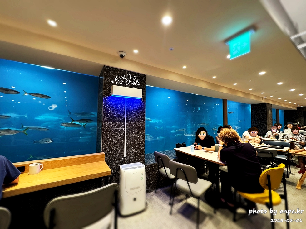 감포항 수족관 카페 투썸플레이스에서 힐링! 🌊🐠 경주에도 바다가? - 경주라고 하면 보통 불국사, 첨성대 같은 문화재가 먼저 떠오르죠. 그런데 의외로 경주에도 시원한 바다가 있다는 사실! 🌊햇살이 따스하게 내리쬐던 어느 여름날,저는 바다와 함께 시간을 보낼 수 있는 특별한 카페를 찾아 나섰습니다.경주시 감포항 바닷가에 자리한 바다를 곁에 둔 투썸플레이스 감포점, 그곳에서 예상치 못한 힐링을 경험했어요. 감포항 수족관 카페 투썸플레이스에서 힐링! 🌊🐠 경주에도 바다가?