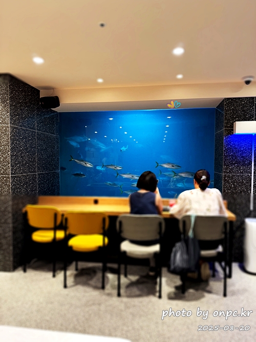 감포항 수족관 카페 투썸플레이스에서 힐링! 🌊🐠 경주에도 바다가? - 경주라고 하면 보통 불국사, 첨성대 같은 문화재가 먼저 떠오르죠. 그런데 의외로 경주에도 시원한 바다가 있다는 사실! 🌊햇살이 따스하게 내리쬐던 어느 여름날,저는 바다와 함께 시간을 보낼 수 있는 특별한 카페를 찾아 나섰습니다.경주시 감포항 바닷가에 자리한 바다를 곁에 둔 투썸플레이스 감포점, 그곳에서 예상치 못한 힐링을 경험했어요. 감포항 수족관 카페 투썸플레이스에서 힐링! 🌊🐠 경주에도 바다가?