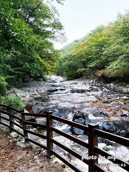 [밀양여행] 밀양팔경 시례 호박소 — 청량한 물소리 따라 걷는 힐링길 🌿✨